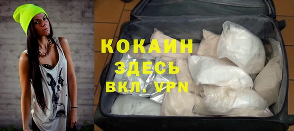 прущие грибы Аркадак
