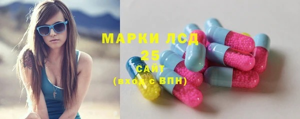 сатива Россошь
