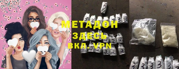 прущие грибы Аркадак