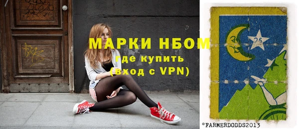 ПСИЛОЦИБИНОВЫЕ ГРИБЫ Арсеньев