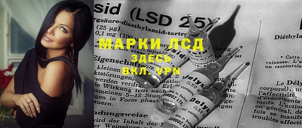 ПСИЛОЦИБИНОВЫЕ ГРИБЫ Арсеньев