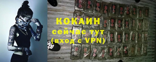 прущие грибы Аркадак
