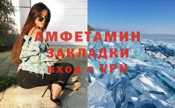 прущие грибы Аркадак