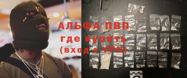 прущие грибы Аркадак
