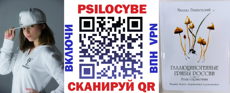 Псилоцибиновые грибы Psilocybe где купить наркотик Полярные Зори